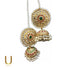 Chand Balian Long Jhumkey Earrings